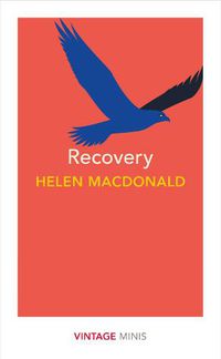 Cover image for Recovery: Vintage Minis