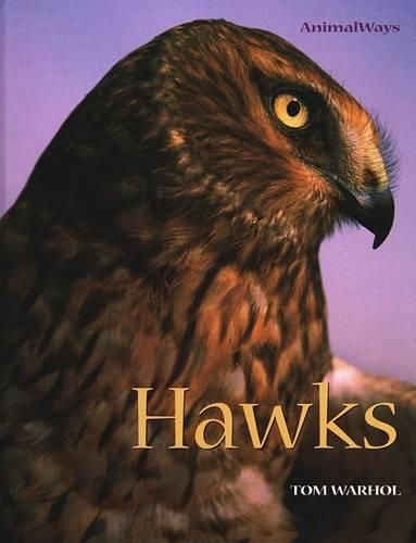 Cover image for Hawks