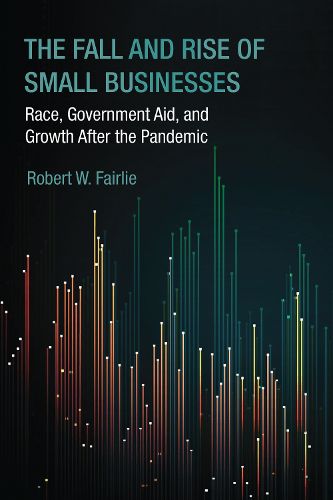 Cover image for The Fall and Rise of Small Businesses