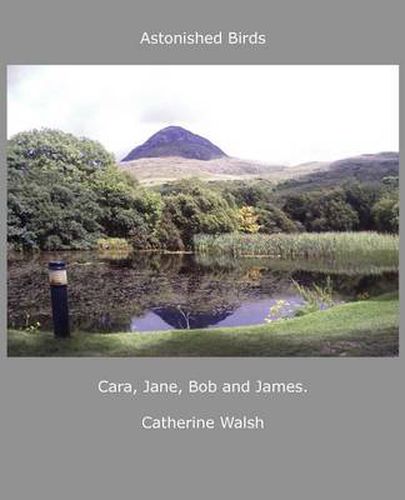 Cover image for Astonished Birds Cara, Jane, Bob and James.