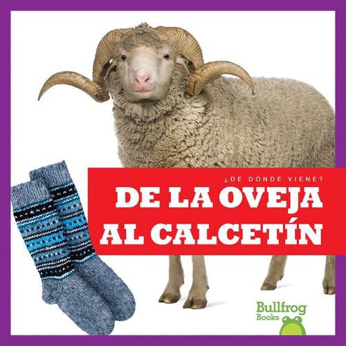 Cover image for de la Oveja Al Calcetin (from Sheep to Sock)