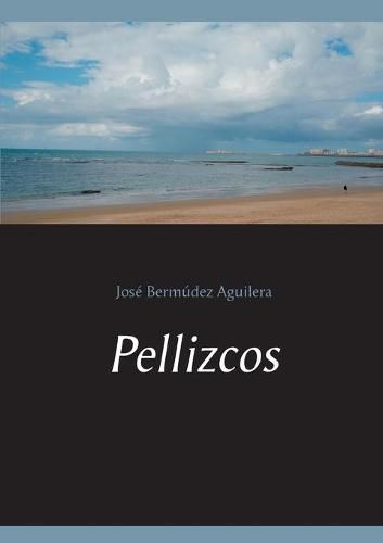 Cover image for Pellizcos