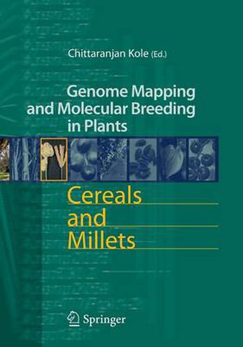 Cover image for Cereals and Millets