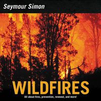 Cover image for Wildfires