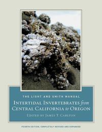 Cover image for The Light and Smith Manual: Intertidal Invertebrates from Central California to Oregon