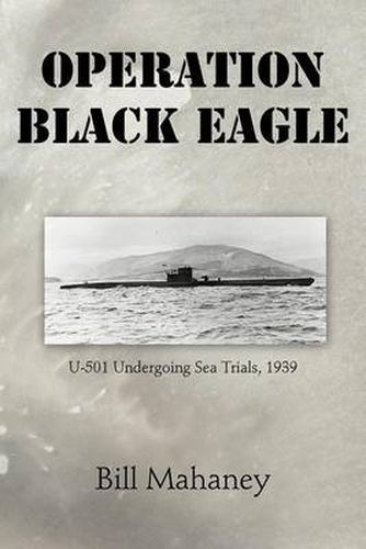 Cover image for Operation Black Eagle