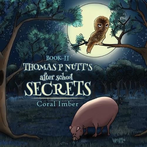 Thomas P Nutt's After School Secrets: Book Two