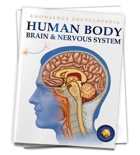 Cover image for Human Body