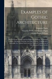 Cover image for Examples of Gothic Architecture