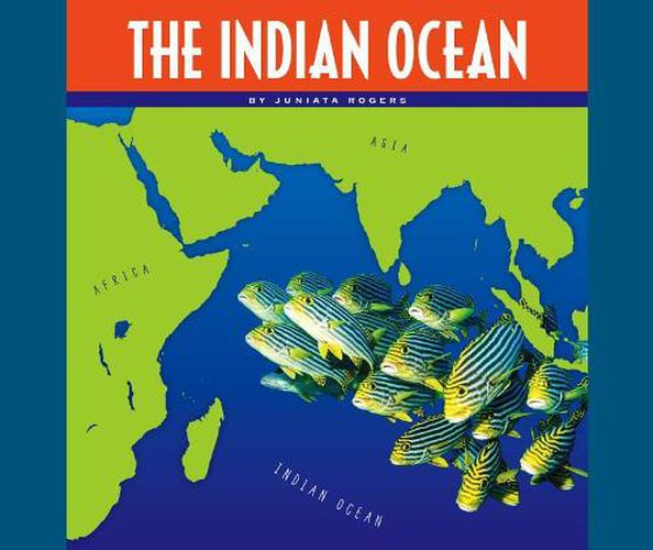 Cover image for The Indian Ocean