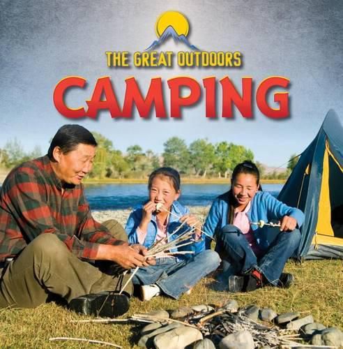 Cover image for Camping