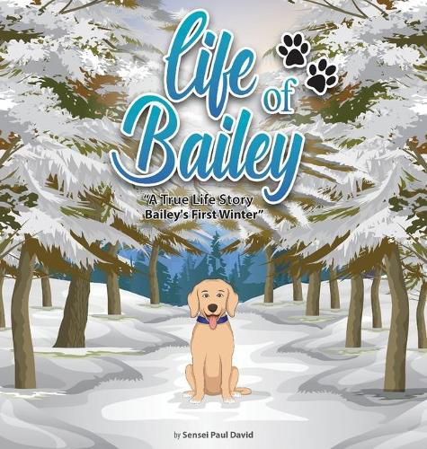 Life of Bailey: Bailey's First Winter