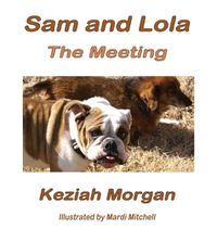 Cover image for Sam and Lola
