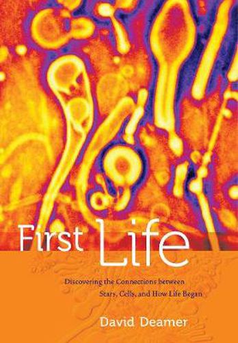 Cover image for First Life: Discovering the Connections between Stars, Cells, and How Life Began