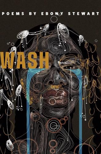 Cover image for Wash