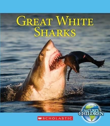 Cover image for Great White Sharks
