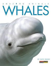 Cover image for Whales