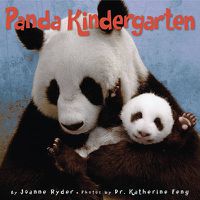 Cover image for Panda Kindergarten