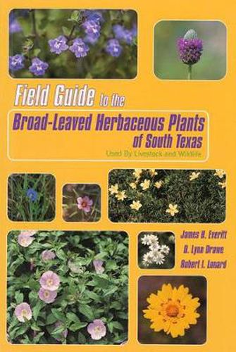 Cover image for Field Guide to the Broad-leaved Herbaceous Plants of South Texas: Used by Livestock and Wildlife