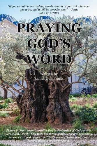 Cover image for Praying God's Word