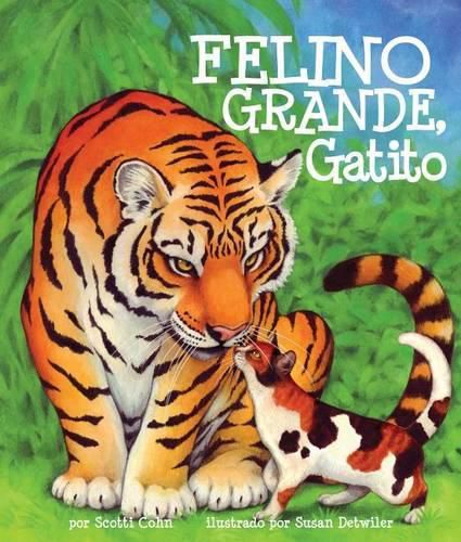 Cover image for Felino Grande, Gatito