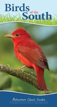 Cover image for Birds of the South: Your Way to Easily Identify Backyard Birds