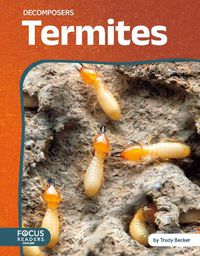 Cover image for Termites