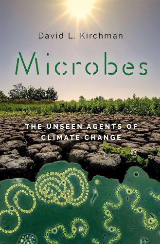 Cover image for Microbes