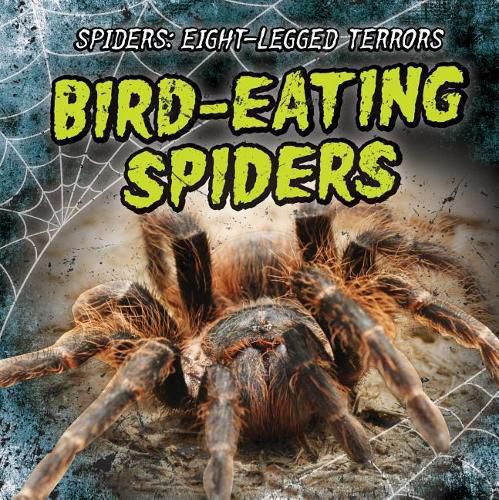 Cover image for Bird-Eating Spiders
