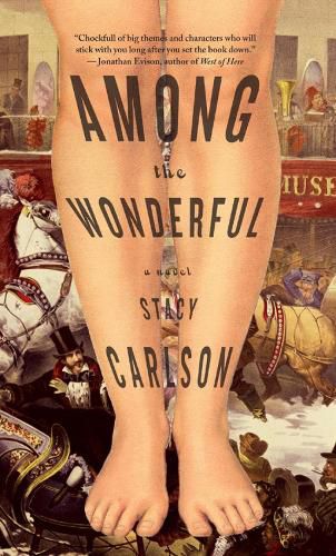 Cover image for Among The Wonderful: A Novel