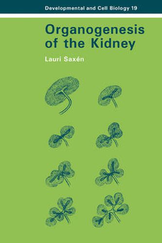 Cover image for Organogenesis of the Kidney