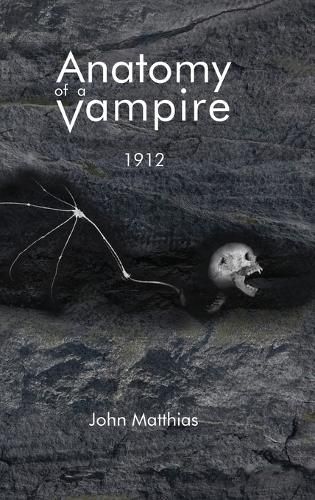 Cover image for Anatomy of a Vampire