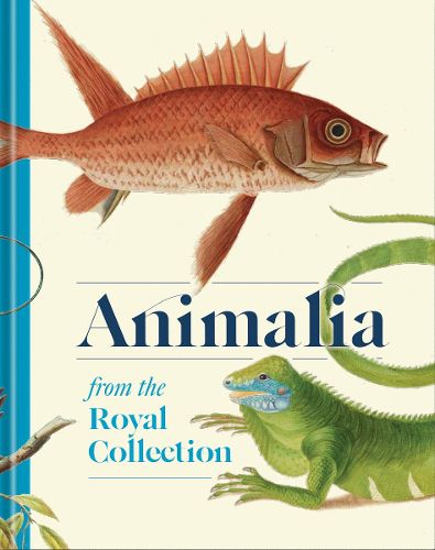 Cover image for Animalia