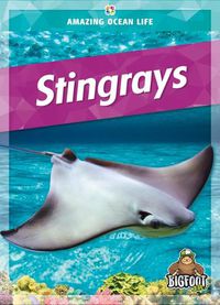 Cover image for Stingrays