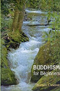 Cover image for Buddhism for Beginners