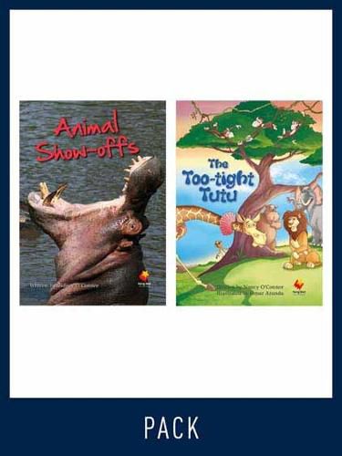 Cover image for Flying Start Guided Reading Level 19, Pack 2: Paired student books (6x6) and lesson plan (1)