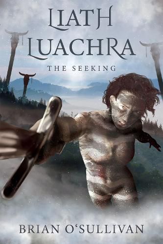 Cover image for Liath Luachra: The Seeking