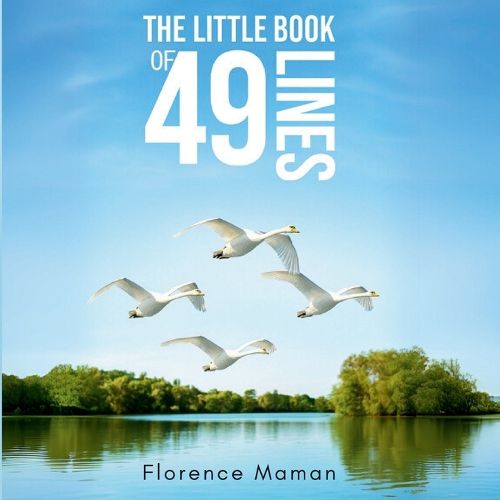 Cover image for The Little Book of 49 Lines