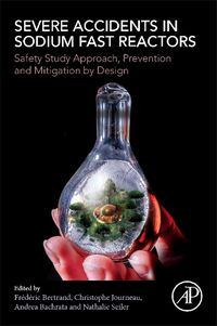 Cover image for Severe Accidents in Sodium Fast Reactors