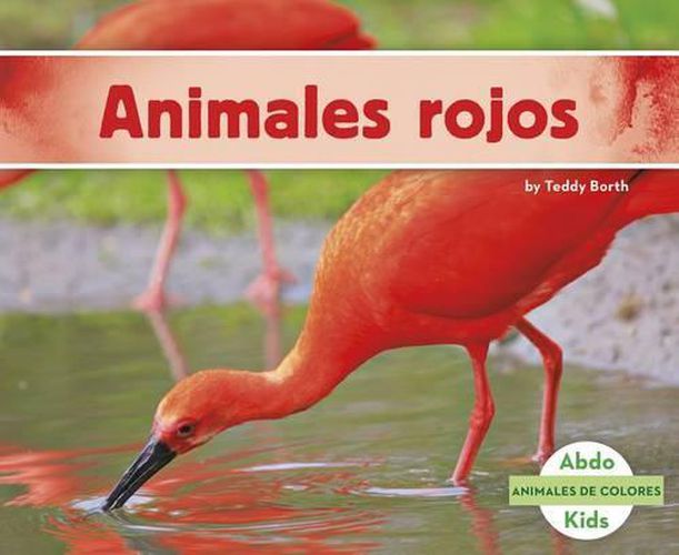 Cover image for Animales Rojos