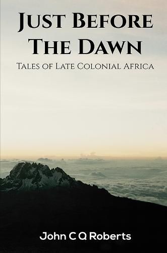 Cover image for Just Before the Dawn