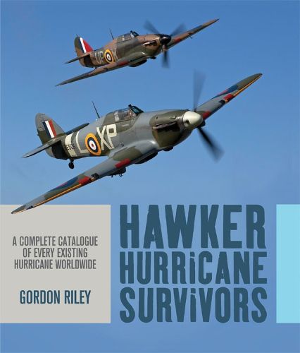 Cover image for Hawker Hurricane Survivors