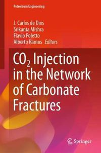 Cover image for CO2 Injection in the Network of Carbonate Fractures