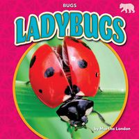 Cover image for Ladybugs