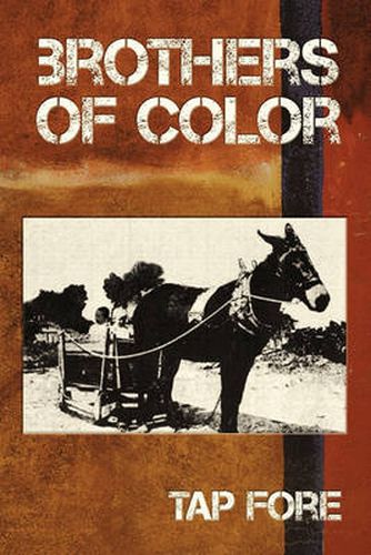 Cover image for Brothers of Color: A Novel