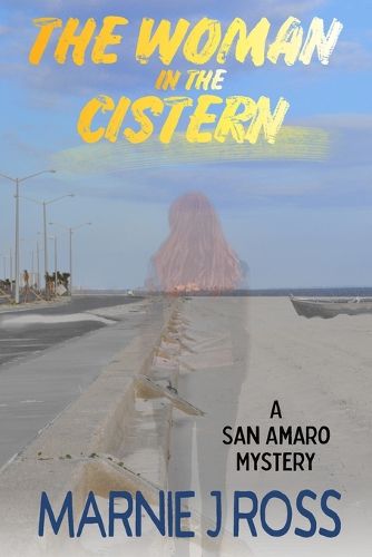 Cover image for The Woman in the Cistern