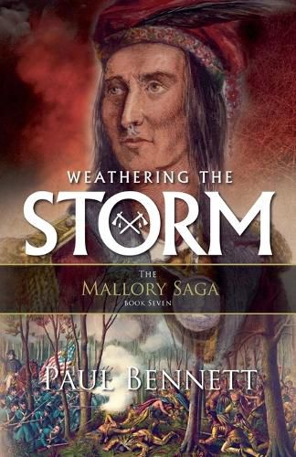 Cover image for Weathering the Storm