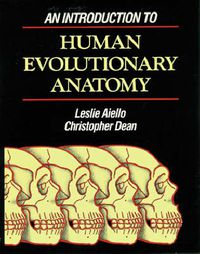 Cover image for An Introduction to Human Evolutionary Anatomy