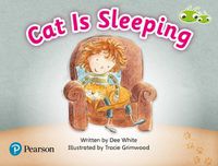 Cover image for Bug Club Guided Fiction Reception Pink A Cat is Sleeping