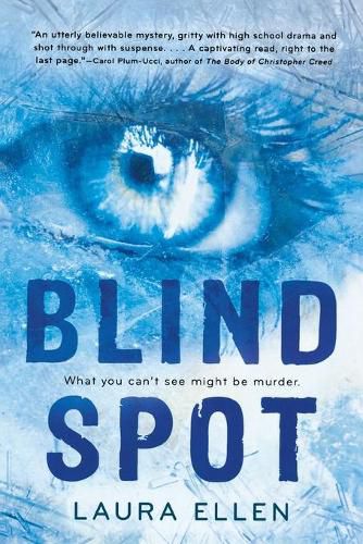 Cover image for Blind Spot